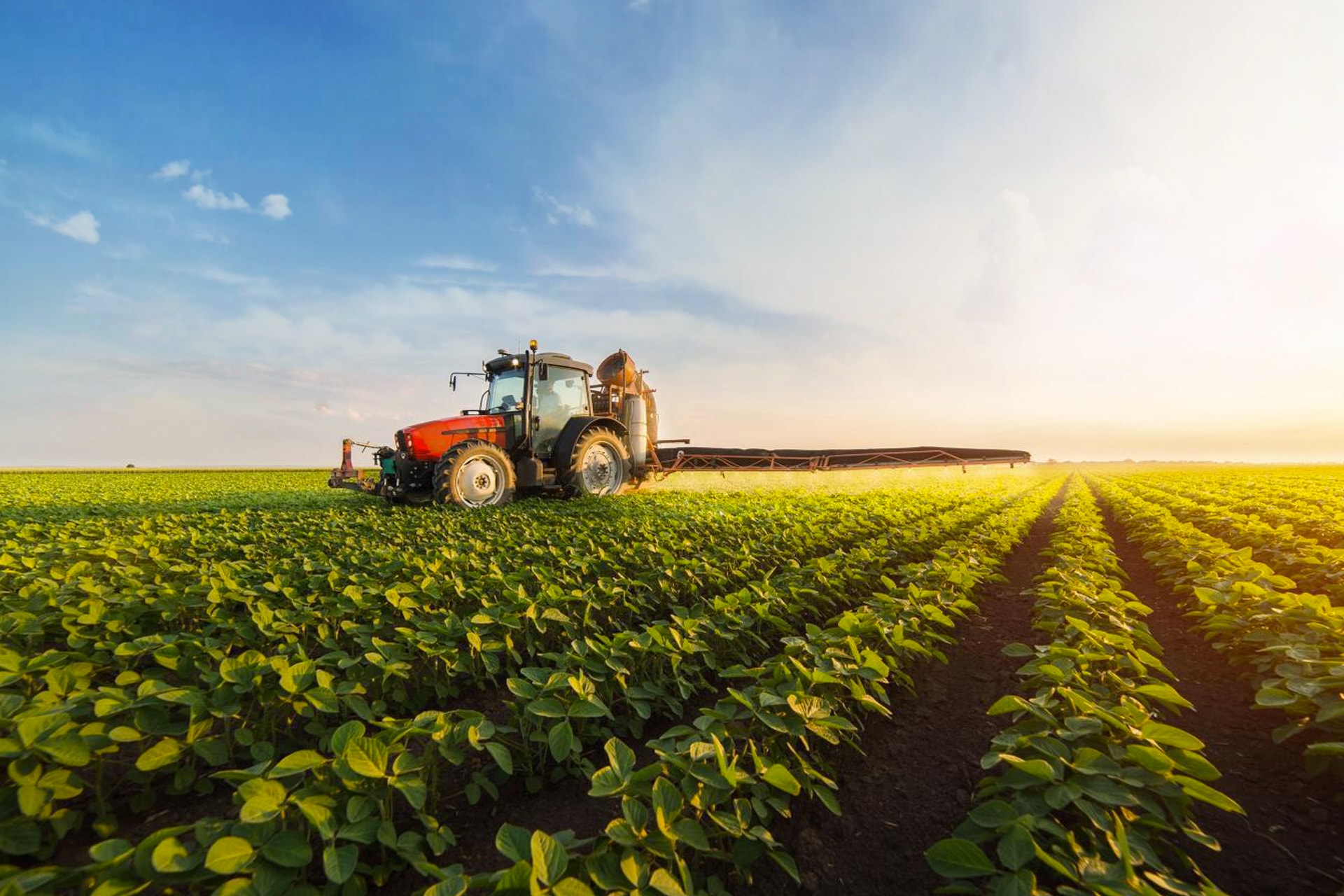tractor on the field