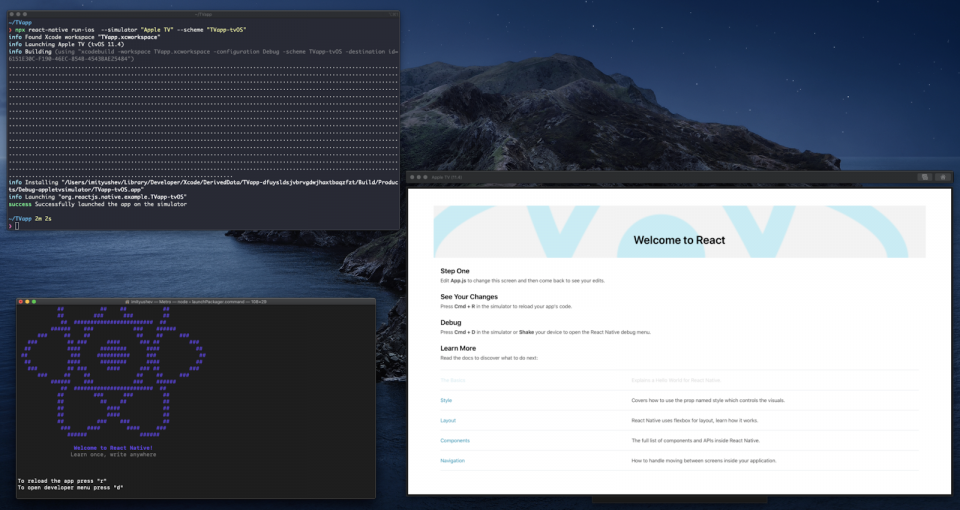 Setting up the development environment