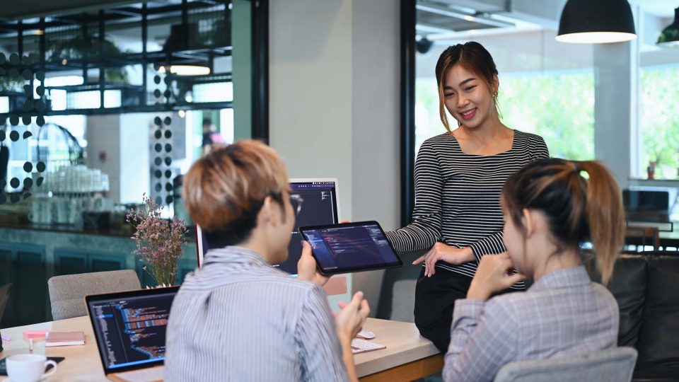 coding programmer or software engineer brainstormi 2023 11 27 05 03 47 utc